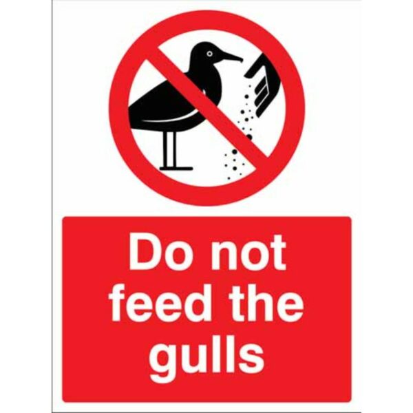 Do not feed the gulls
