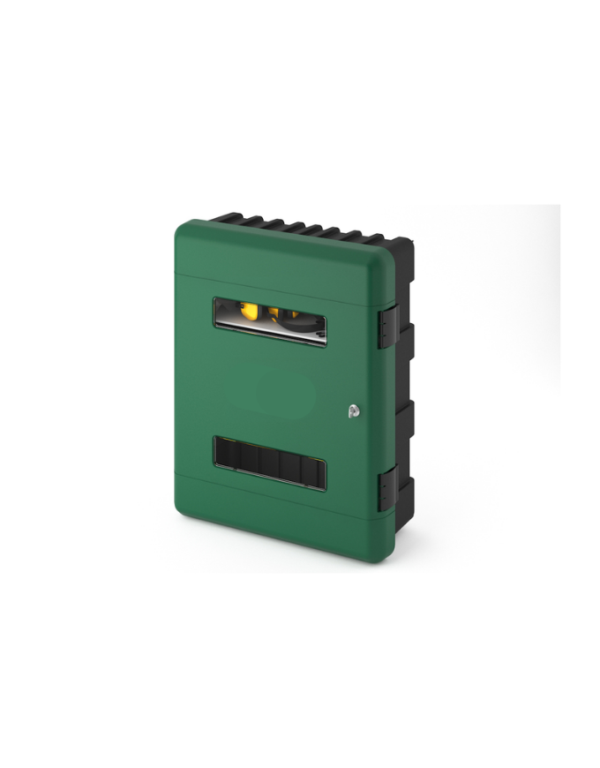 Commander Double Cabinet – Green